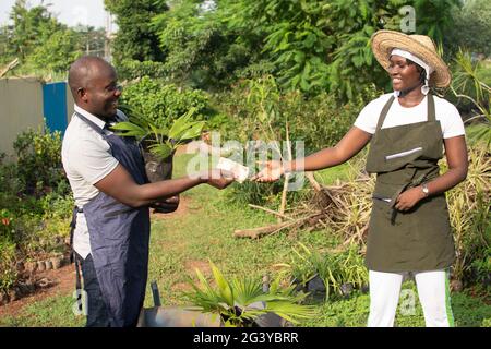 afrikanische Bauern in einer Baumschule Stockfoto