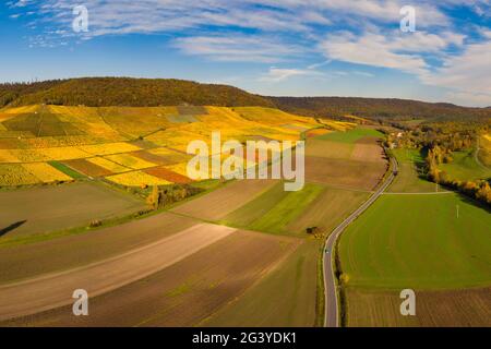 Weinberge bei Iphofen, Kitzingen, Unterfranken, Franken, Bayern, Deutschland, Europa Stockfoto