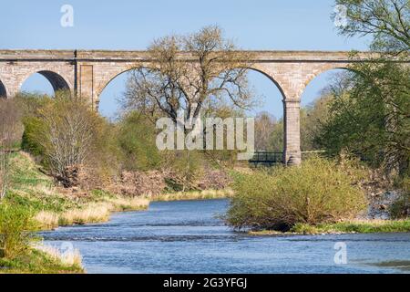 Roxburgh Viaduct, Teviot River, Schottland Stockfoto