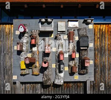 Nistkästen für verschiedene Vogelarten, Stockfoto