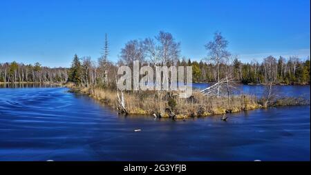 Pfrunger Ried, Moor in oberschwaben, süddeutschland Stockfoto