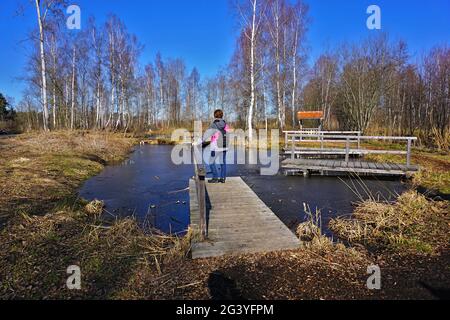 Pfrunger Ried, Moor in Oberschwaben bei Wilhelmsdorf, Süddeutschland, Stockfoto