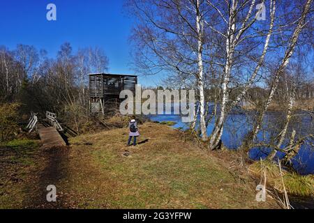 Pfrunger Ried, Moor in Oberschwaben bei Wilhelmsdorf, Süddeutschland, Stockfoto