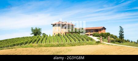 Piemont Hügel in Italien mit landschaftlich reizvoller Landschaft, Weinbergfeld und blauem Himmel Stockfoto