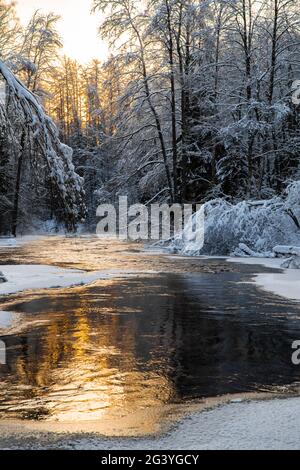 Der wilde gefrorene kleine Fluss im Winterwald, die wilde Natur bei Sonnenuntergang, der Fluss der roten Farbe, Eis, schneebedeckte Bäume Stockfoto