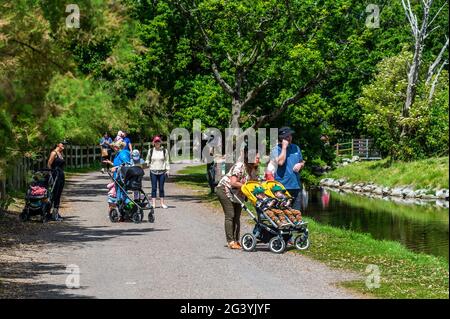 Cobh, County Cork, Irland. Juni 2021. Das sonnige Wetter brachte heute viele Besucher in den Fota Wildlife Park in Co. Cork. Quelle: AG Newds/Alamy Live News. Stockfoto