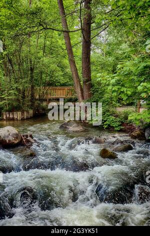 Bayern im Frühjahr; Holzbrücke auf einem laufenden Bach; kleiner Wasserfall in grüner Umgebung; senkrecht Stockfoto