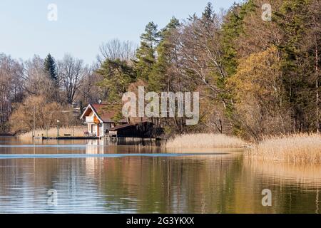 Südküste mit Schilf vom Seehamer See, Bayern, Deutschland Stockfoto