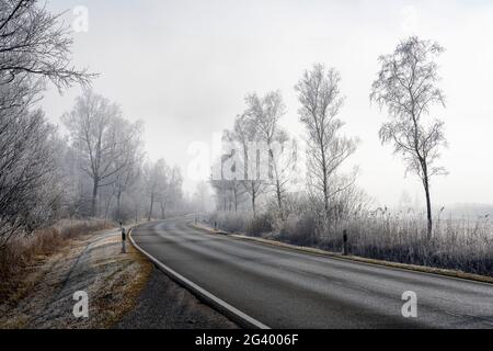 Landstraße zwischen Schlehdorf und Kochel am See an einem frostigen Morgen, Bayern, Deutschland. Stockfoto