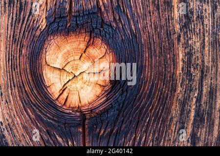 Rustikale Holzhintergrundstruktur: Klopfloch Stockfoto