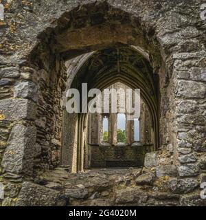 Blick durch das Fenster auf die verlassene Hore Abbey mit dekorativen Bögen Stockfoto