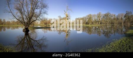 Hochwasser in der Auenlandschaft Urdenbacher Kaempe, Naturschutzgebiet, Düsseldorf, Deutschland, Europa Stockfoto
