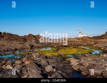 Favaritx Leuchtturm am Cap de Favaritx, Menorca oder Menorca, Balearen, Spanien Stockfoto