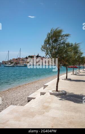 Bäume entlang der Strandpromenade, Segelboote und Altstadt, Primosten, Šibenik-Knin, Kroatien, Europa Stockfoto