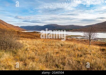 Herbstfarben am Loch Cluanie in den Highlands von Schottland Stockfoto
