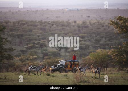 KENIA, MASAI MARA NATIONALPARK, COTTARS 1920 CAMP, ALTE TRADITIONELLE SAFARI Stockfoto