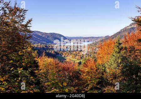 Schliersee in Herbstfarben, Herbst, Bayern, Deutschland Stockfoto