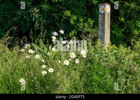 Öffentliches Wanderwegschild in ländlicher Umgebung Stockfoto