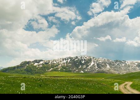 Grüne Wiese in Lukavica Plateau im Frühjahr, Montenegro Stockfoto