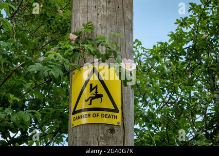 Todesgefahr in gelb und schwarz auf einem hölzernen Telegrafenmast Stockfoto