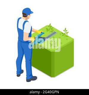 Landwirtschaftliche Arbeit. Isometrischer Gärtner arbeiten am Strauch, entfernen überschüssigen Urlaub. Männlicher Handwerker, der Baum mit Rasenmäher schneidet. Gärtner trimmen und Stock Vektor