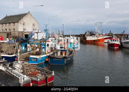 Blick auf den Hafen von Pittenweem in Fife Stockfoto