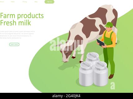 Isometrischer Landwirt arbeitet auf dem Bio-Bauernhof mit Milchkühen. Milchproduktion Produktionskette von einem Milchviehbetrieb, frische Milch. Stock Vektor