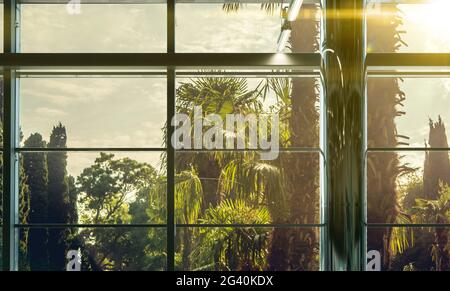 Chill Relax zwanglose Sicht vom Fenster nach Hause in der wunderschönen Naturszene Stockfoto