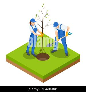 Isometrischer Tag Der Arbeit In Der Gemeinschaft. Umweltschutzkonzept. Gruppe Freiwillige Menschen Pflanzen Bäume im City Park. Die Menschen Pflanzen Obstbäume Stock Vektor