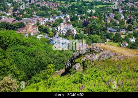 Auf den Malvern Hills wachsen Fuchshandschuhe mit Malvern Priory und Great Malvern im Hintergrund, Worcestershire, England Stockfoto