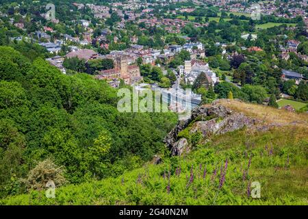 Auf den Malvern Hills wachsen Fuchshandschuhe mit Malvern Priory und Great Malvern im Hintergrund, Worcestershire, England Stockfoto
