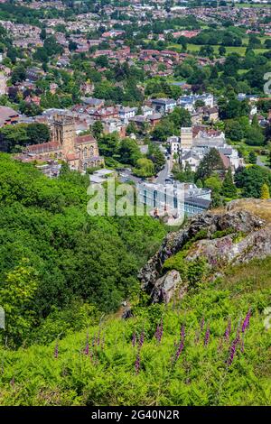 Auf den Malvern Hills wachsen Fuchshandschuhe mit Malvern Priory und Great Malvern im Hintergrund, Worcestershire, England Stockfoto