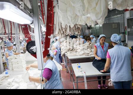 Denizli / Türkei - 06/07/2014: Unbekannte Arbeiterinnen, die in einer Textilfabrik arbeiten. Stockfoto