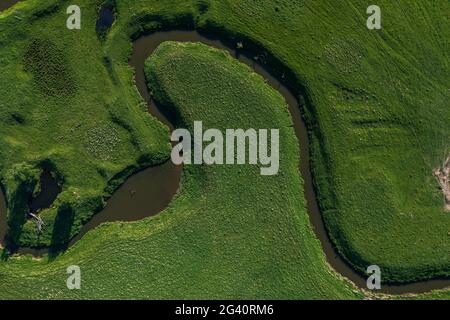 Luftlandschaft von gewundenen Fluss in grünem Feld, Draufsicht auf schöne Natur Textur von Drohne. Hochwertige Fotos Stockfoto