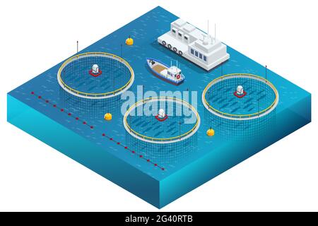 Isometrische Fischfarm. Forellen- und Lachszucht, Karpfen, Tilapia und Wels. Die Fischzucht oder die Fischzucht umfasst die kommerzielle Anzucht von Fisch in Tanks Stock Vektor