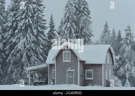 Verlassene schwedische Haus in winterlichem Lappland, Springliden, Schweden Stockfoto