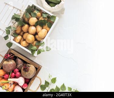 Verkauf von saisonalem Gemüse auf dem lokalen Markt. Natürliches Bauerngemüse in Holzkisten auf weißem Hintergrund mit Kopierfläche. Umweltfreundliche Früchte Stockfoto