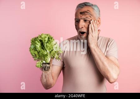 Schockierter Bauer hält einen Haufen Salatblätter in seinen Händen und sieht ihn an. Auf einem rosa Hintergrund hielt ein älterer Mann frische Kräuter in der Hand, schockierte den Bauern Stockfoto