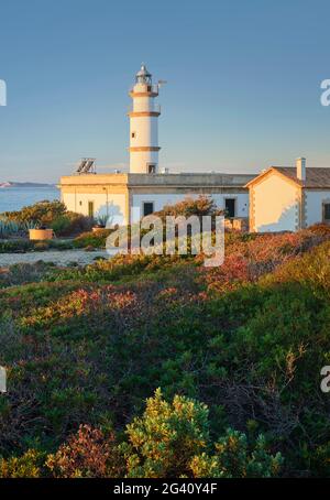 Faro des Cap de ses Salines, Mallorca, Balearen, Katalonien, Spanien Stockfoto