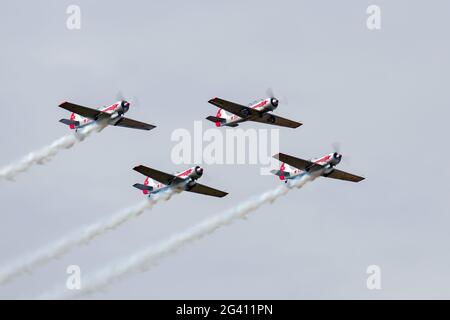 Jakowlew Jak-52/50 Stockfoto