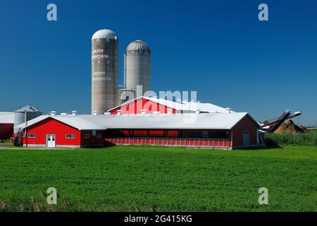 Red Farm in a Field, Quebec, Kanada Stockfoto