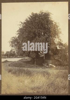 Haus und Handwagen unter einem Baum an der Amstel. Teil des Albums mit Bildern von Amsterdam und Umgebung. Stockfoto