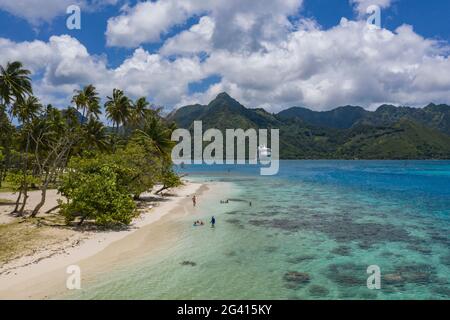 Luftaufnahme des Strandes und der Menschen im Wasser der Opunohu-Bucht mit einem Schiff in der Ferne, Moorea, Windward Islands, Französisch-Polynesien, Südpazifi Stockfoto