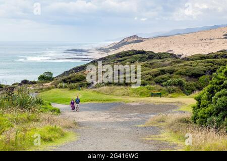 Coastal Walk Arai-Te-Uru Erholung Reserve im Omapere in Neuseeland Stockfoto