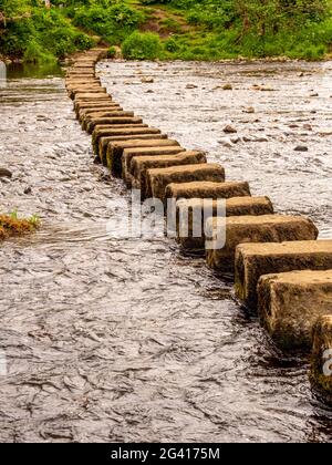 Trittsteine über den Fluss Hodder in Whitewell, Forest of Bowland, Lancashire. VEREINIGTES KÖNIGREICH. Stockfoto