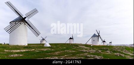 Panoramablick auf die historischen weißen Windmühlen von La Mancha über der Stadt Campo de Criptana Stockfoto