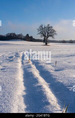 Verschneite Kulturlandschaft im Fünfseeenland zwischen Starnberger See und Ammersee, Bayern, Deutschland Stockfoto