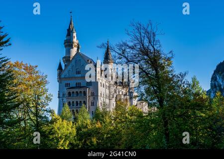 Blick auf Schloss Neuschwanstein, Oberallgäu, Bayern, Deutschland Stockfoto