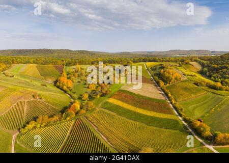 Vogelsang-Weinberge im südlichen Steigerwald, Markt Einersheim, Iphofen, Kitzingen, Unterfranken, Franken, Bayern, Deutschland, Europa Stockfoto