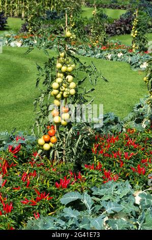 LONDON - SEPTEMBER 7 : Gemüsegerichten vor dem Palm House in Kew Gardens am 7. September 2013 Stockfoto